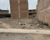 La Planicie, Carabayllo, Lima, ,Terreno Residencial,En Venta,1595